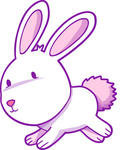 Ostale doma�e �ivali